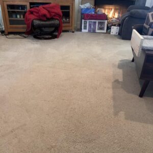 Ninja Nutri-Blender Pro with Auto-iQ, Personal Blender - Image 5